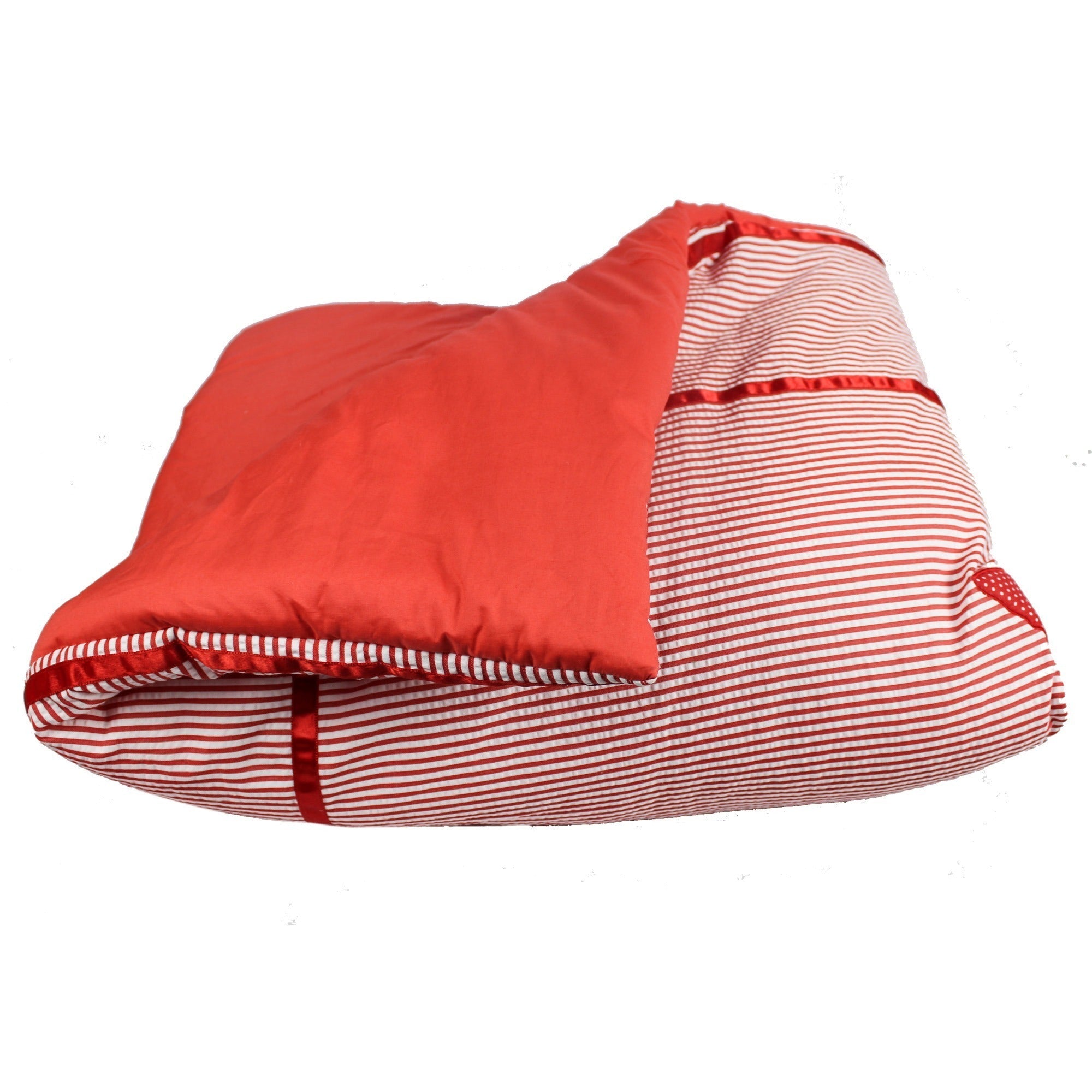 Puppy Quilt Set with 2 Soft Pillows